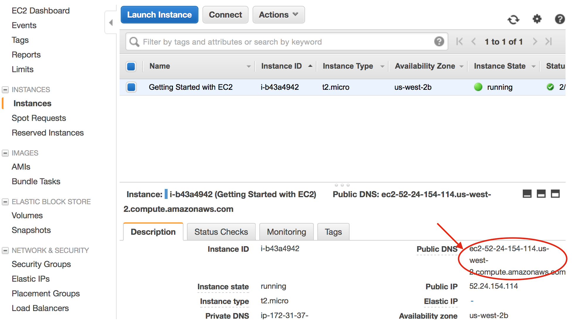 The newly created instance has an IP address and a domain name (beware, this could change when you restart it!)